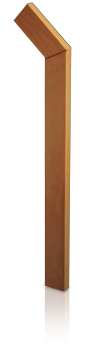 SP 01